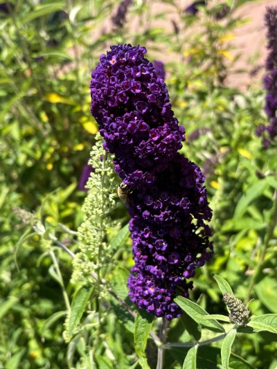 Wojsławickie Klimaty - galeria zdjęć